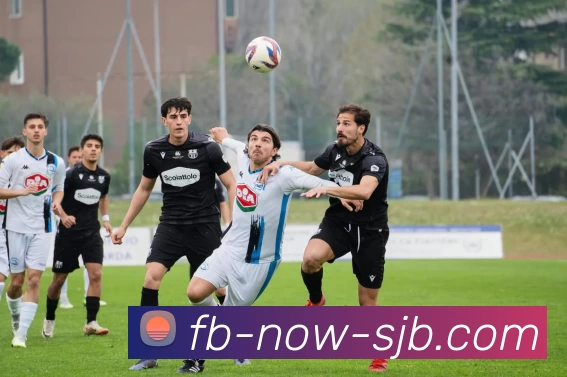 FB即时，FB即时，FB体育官网，FB体育最新比分，FB体育APP发展历程